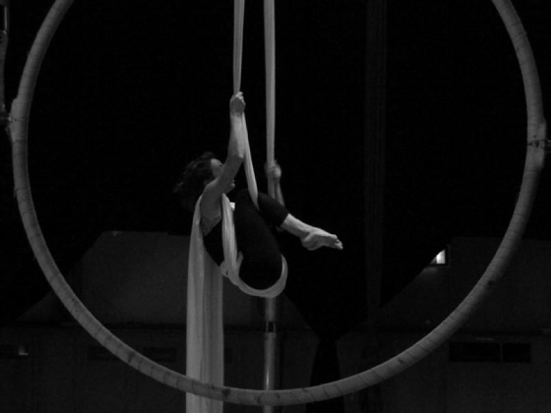 A aerial hoop in the foreground frames an EADF participant wrapped in aerial fabrics suspended in a crouch, pulling their body weight upward